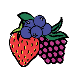 Organic Berry Basket