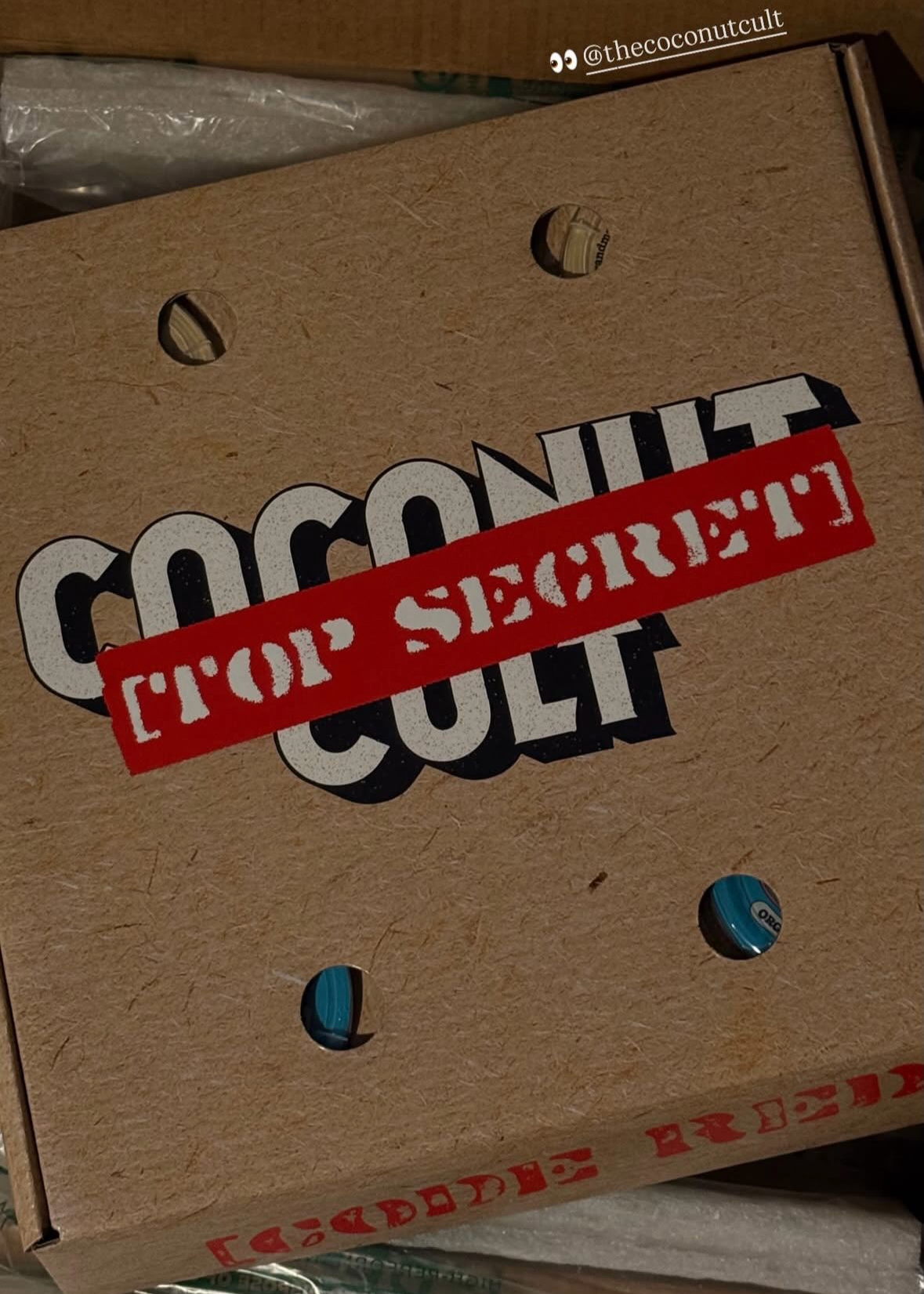 Top Secret Coconut Cult Cup Box-The Coconut Cult