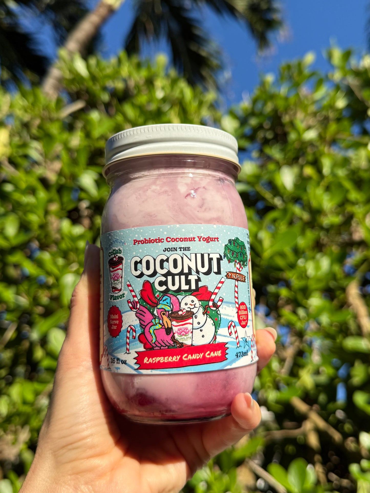 Raspberry Candy Cane