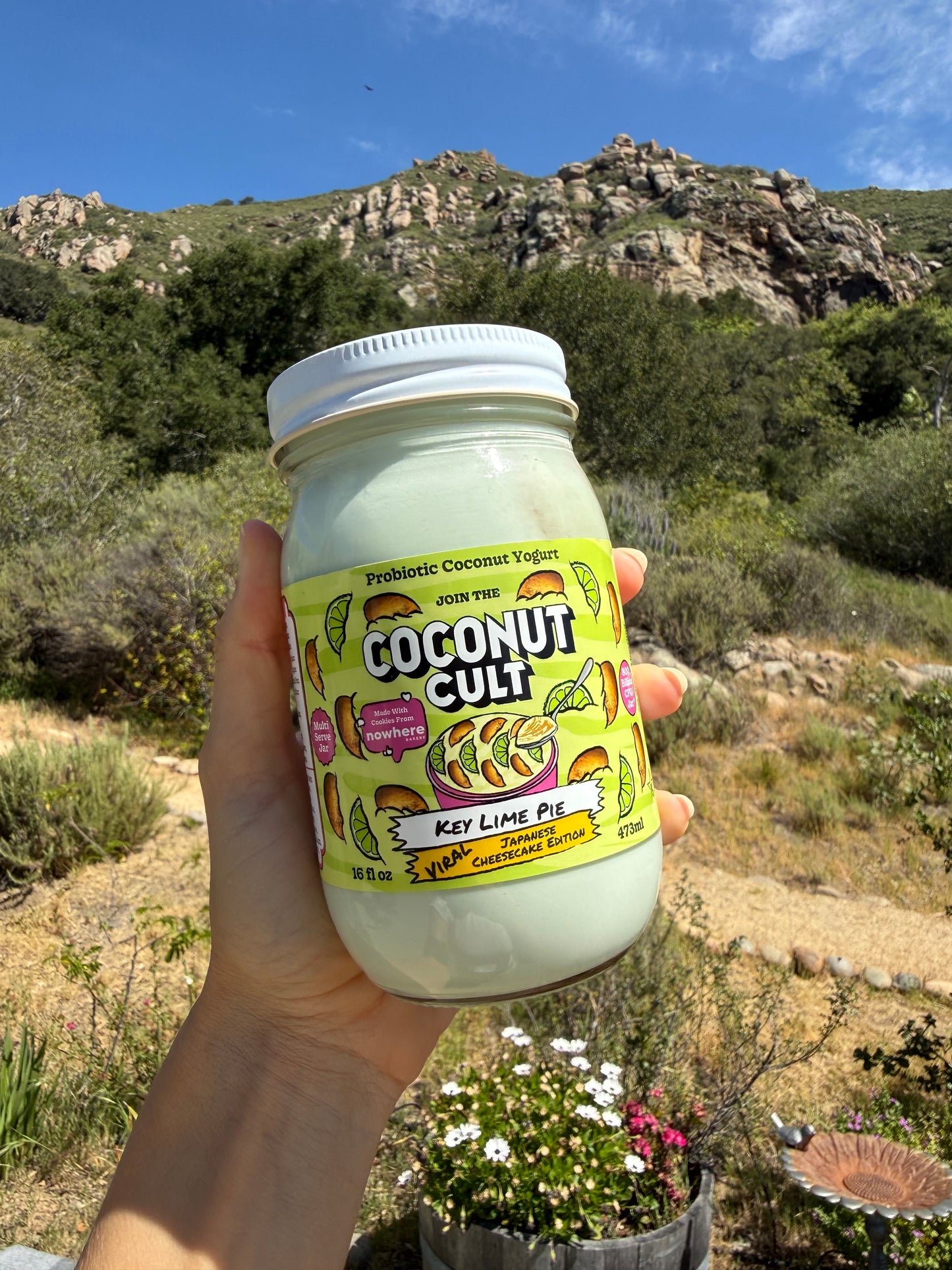 Key Lime Pie Viral Japanese Cheesecake Edition-The Coconut Cult