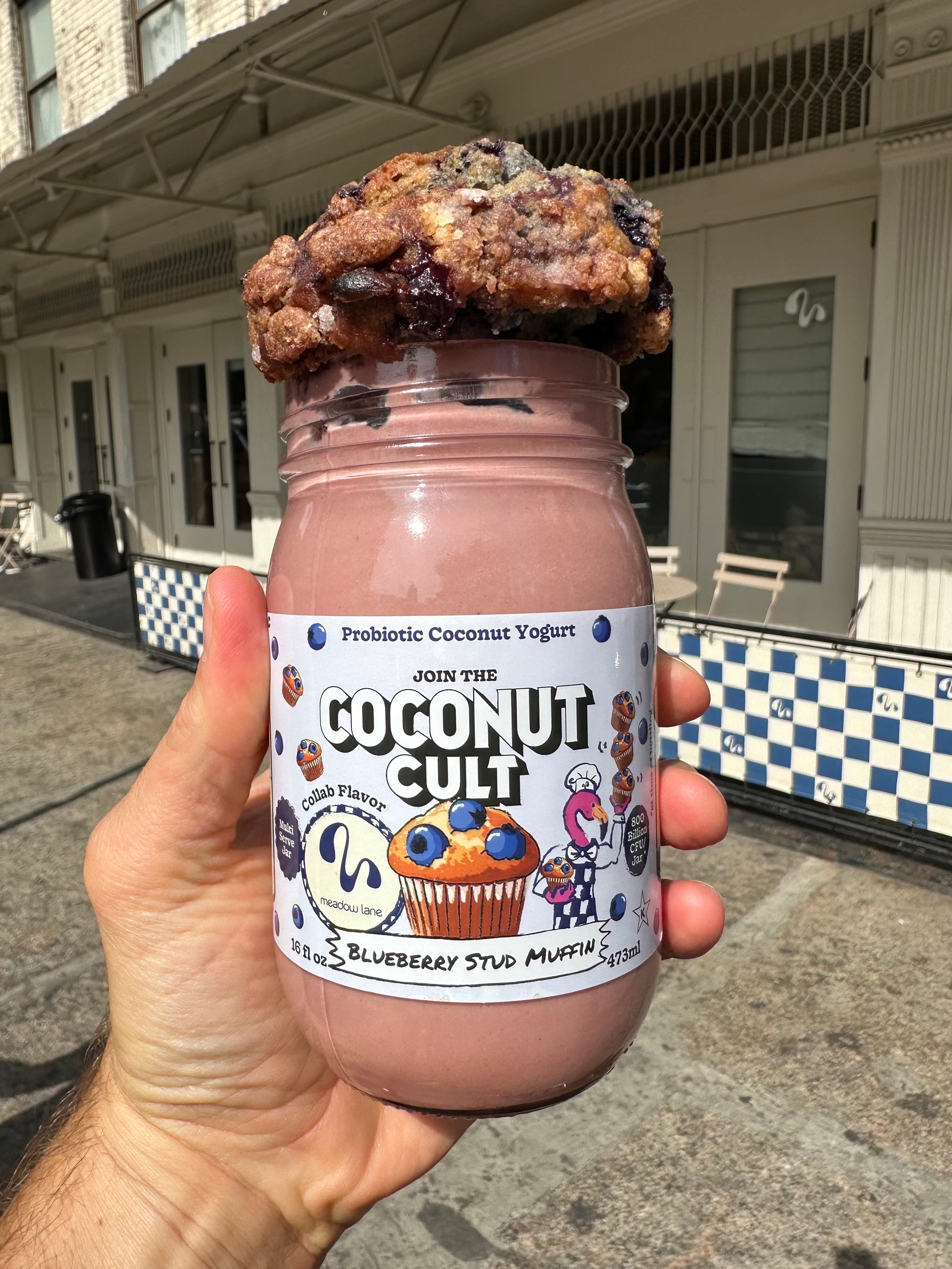 Blueberry Stud Muffin-The Coconut Cult